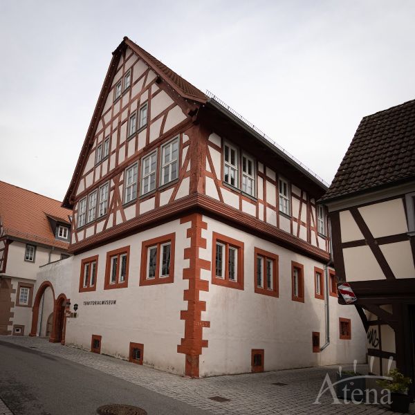 Нудистік кештің секс видеосы Үлкен клиторды жалап жатқан порно видео